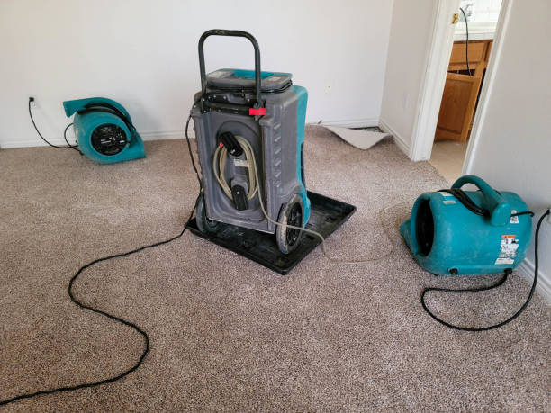 Best Commercial water damage restoration  in Hockessin, DE