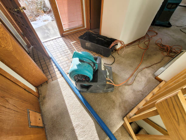 Best Flooded house restoration  in Hockessin, DE