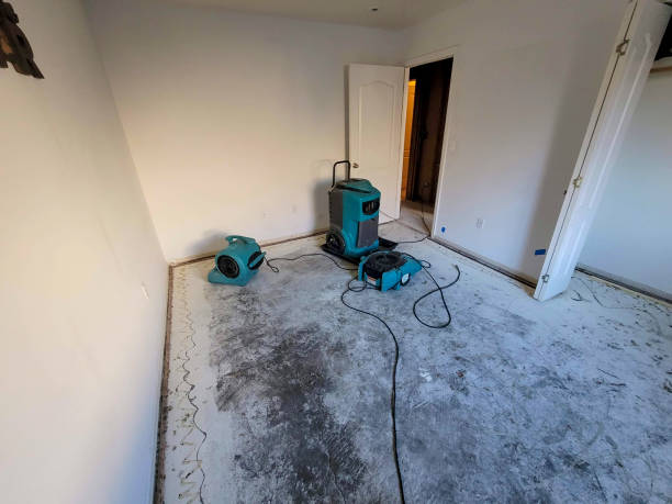 Best Mold removal after water damage  in Hockessin, DE