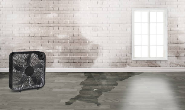 Best Water damage restoration services  in Hockessin, DE