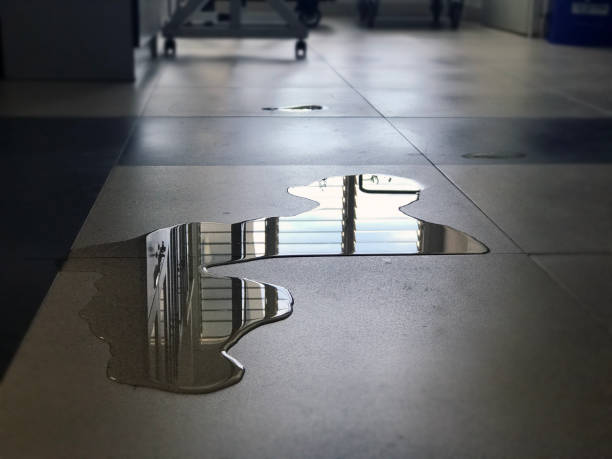 Water damage restoration process in DE