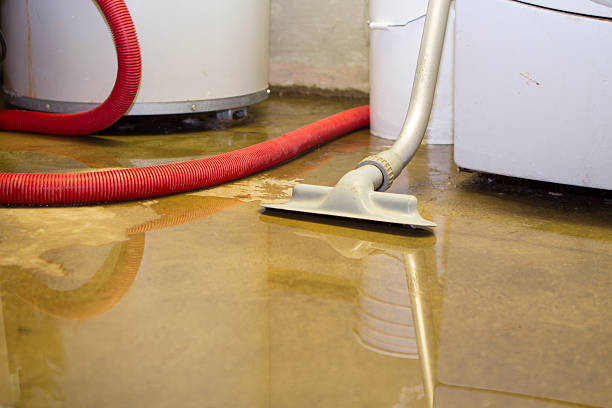 Best Flood restoration services  in Hockessin, DE