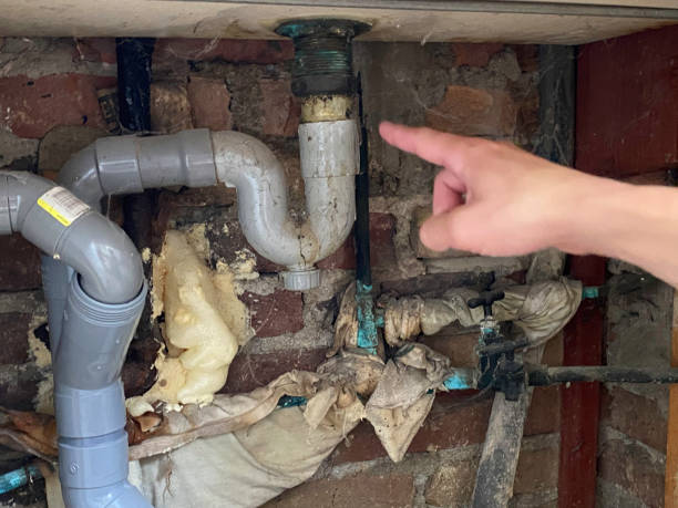 Best Professional water damage repair  in Hockessin, DE