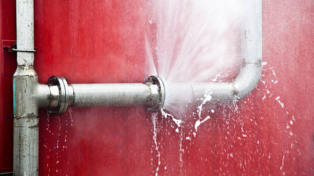 Best Carpet water damage restoration  in Hockessin, DE